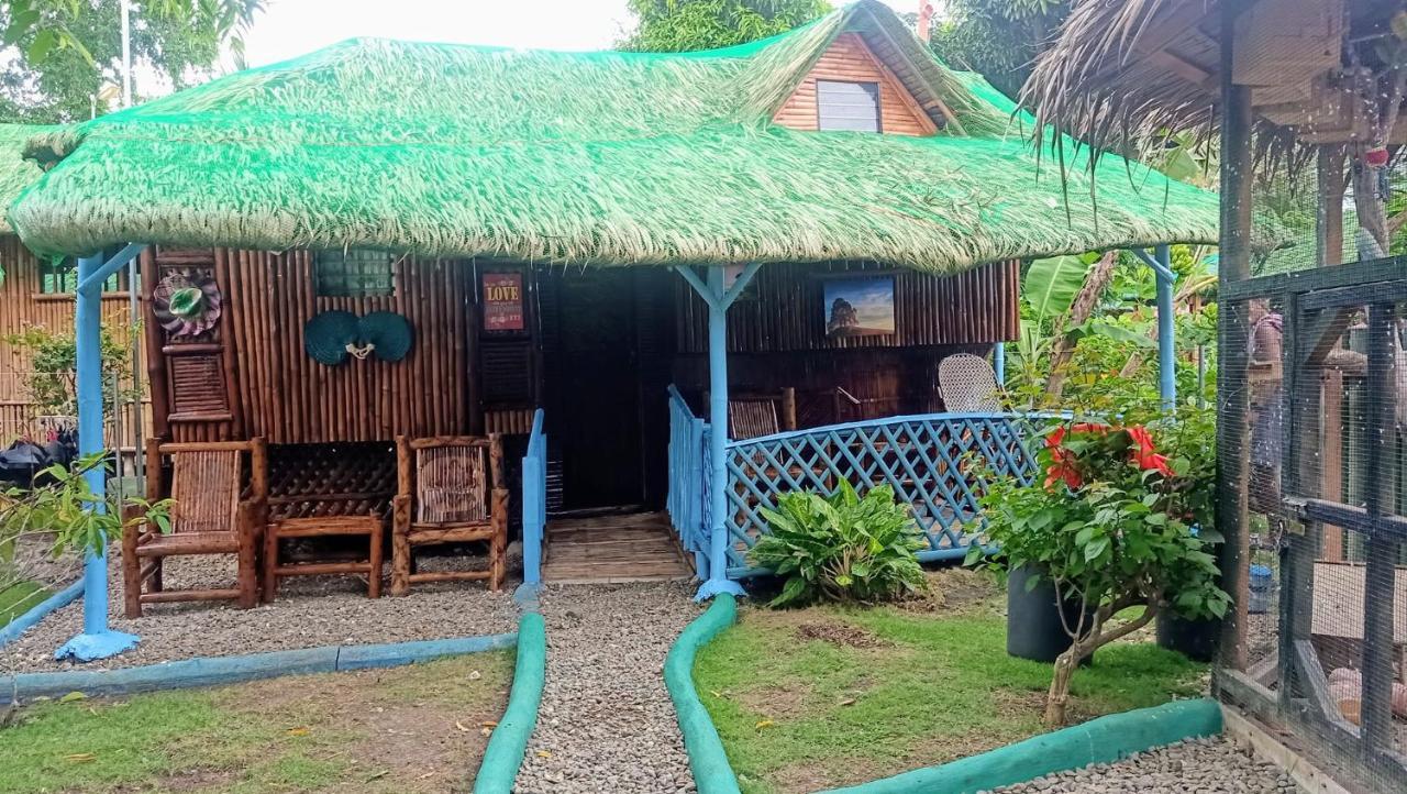 Moalboal Bamboo House / Rooms Kültér fotó