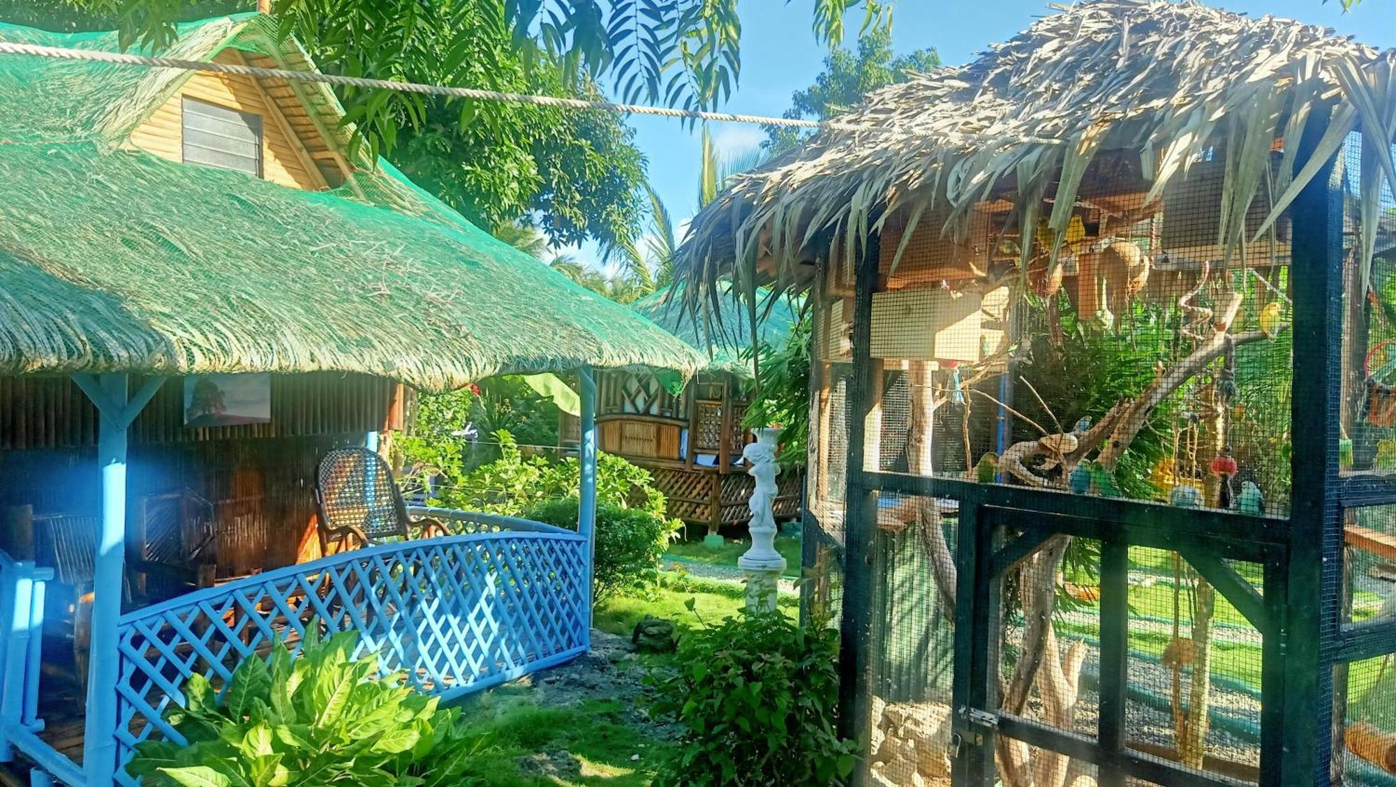 Moalboal Bamboo House / Rooms Szoba fotó