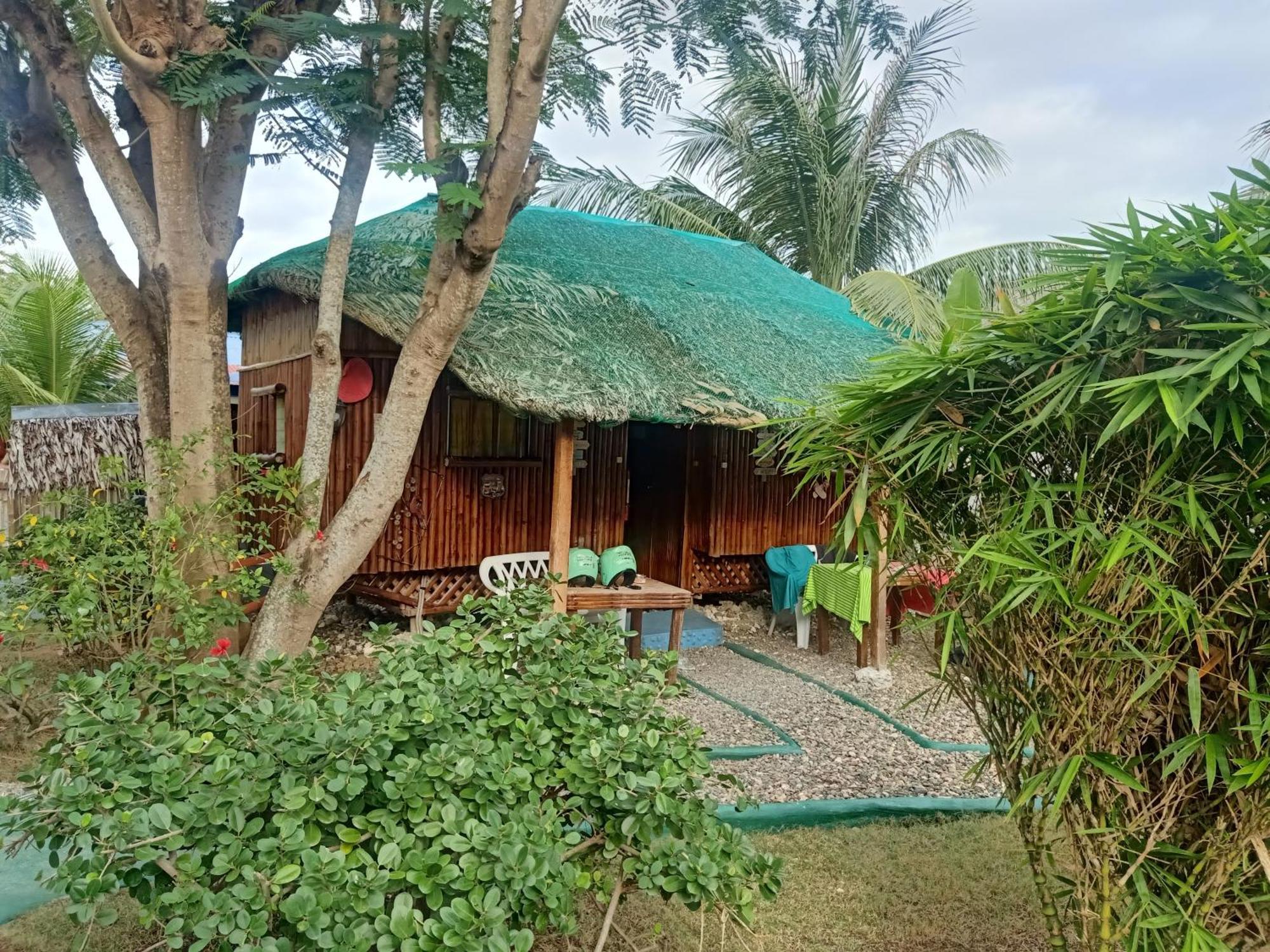 Moalboal Bamboo House / Rooms Szoba fotó